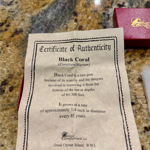 BlackCoral Stingray Pendant - Picture 2 of 4